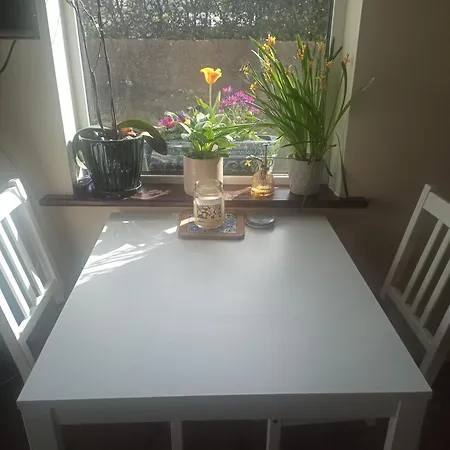 Проживание в семье Salthill