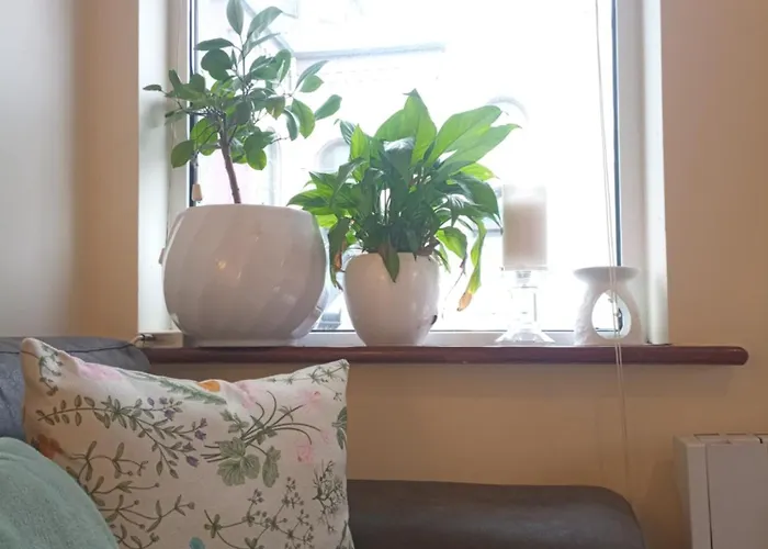 Salthill Проживание в семье Голуэй