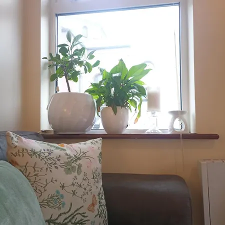 Salthill Homestay szállás Galway